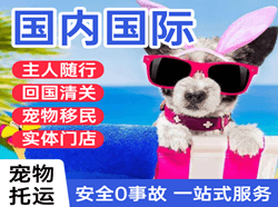 大同云冈航空空运国际宠物托运 【国